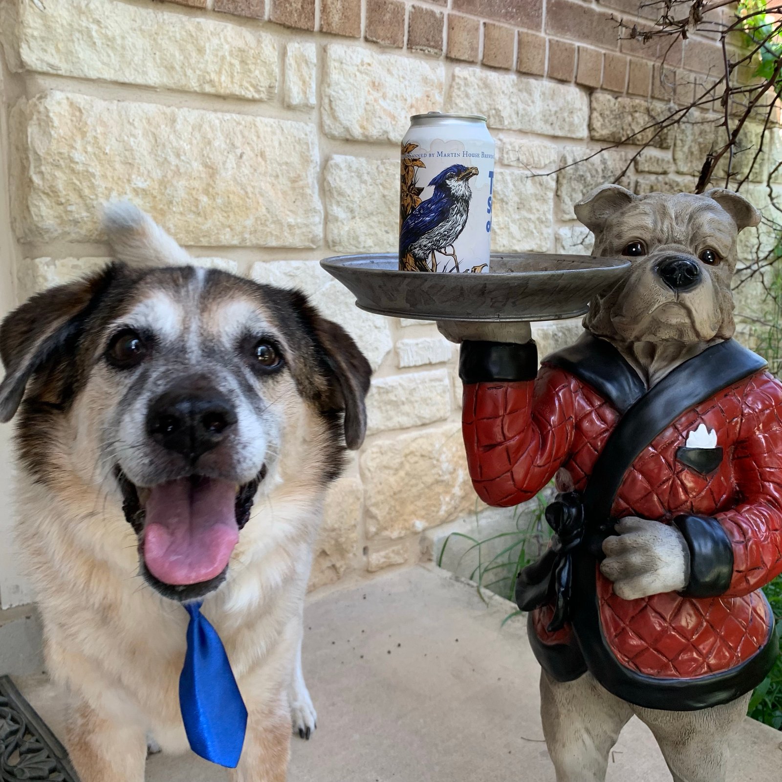 dog in blue tie next to beer and dog butler statue