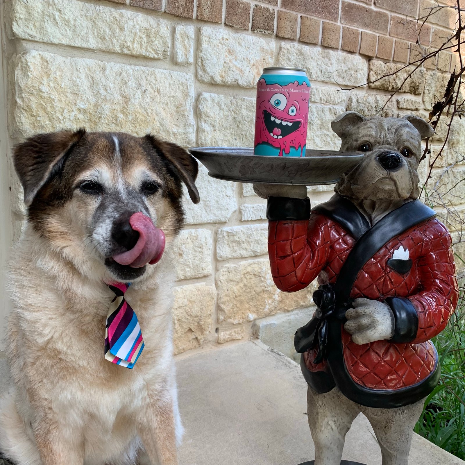 dog in multicolor tie next to dog butler state and beer