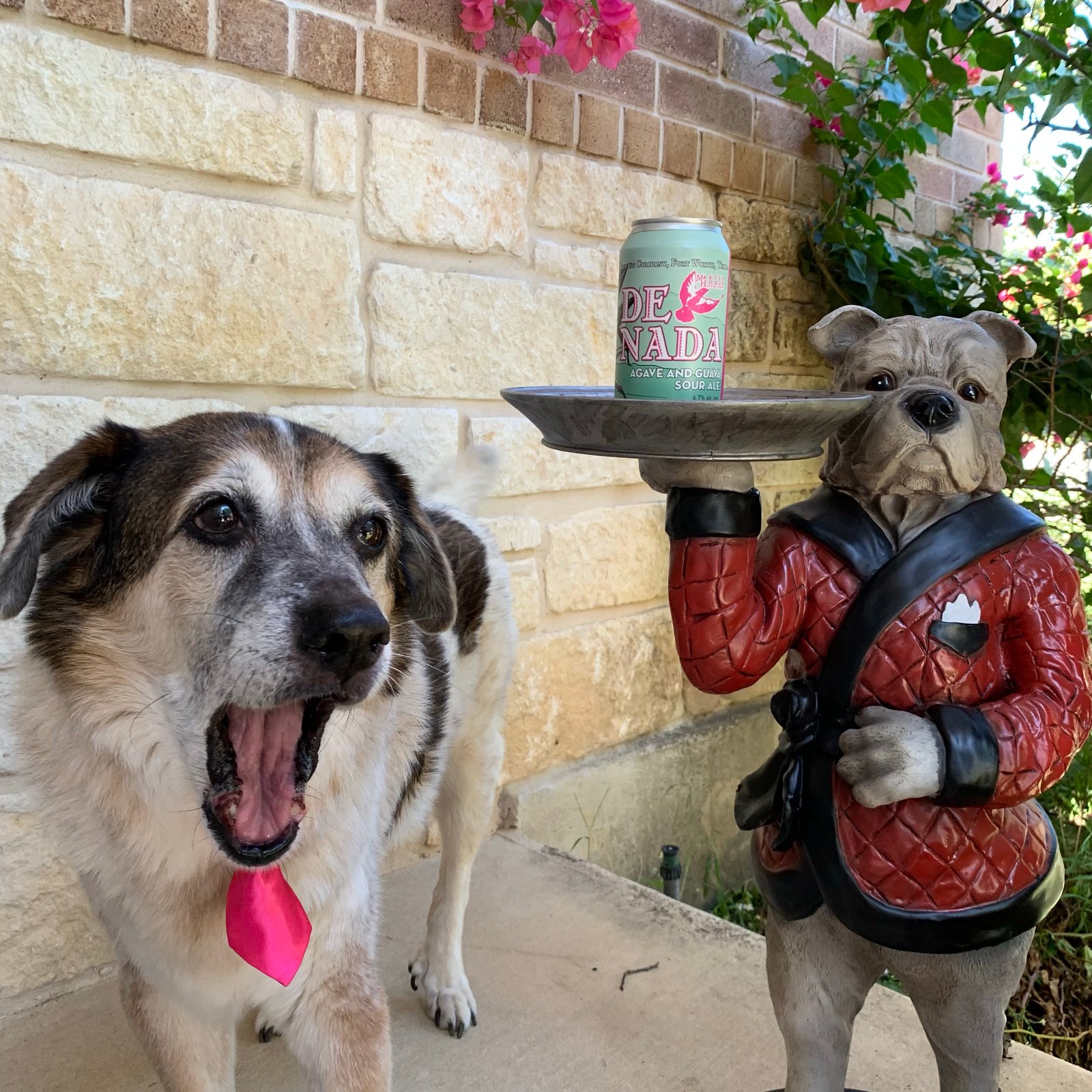 dog in pink tie next to beer and dog butler statue